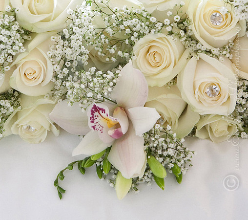 Residence, Stephens Green Wedding