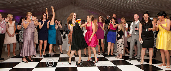 Clonabreany House, Meath Wedding