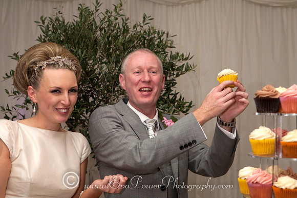 Clonabreany House, Meath Wedding