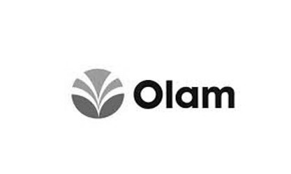 Olam